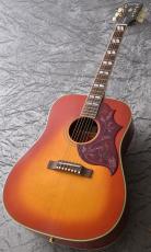 Epiphone Hummingbird -Aged Cherry Sunburst Gloss- 【アクセサリープレゼント】【店頭未展示品】【即納可能!】【ONLINE STORE】