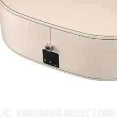 Ibanez AW419JRE-OAW《エレアコ》【24インチスケール】【送料込み】【高性能ケーブルプレゼント!】【ONLINE STORE】_7