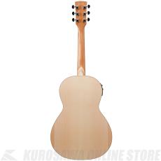 Ibanez PN29E-OPN《エレアコ/ニューヨーカー》【SPOTモデル】【送料込み】【高性能ケーブルプレゼント!】【ONLINE STORE】_2