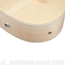 Ibanez PN29E-OPN《エレアコ/ニューヨーカー》【SPOTモデル】【送料込み】【高性能ケーブルプレゼント!】【ONLINE STORE】_7