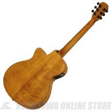 Aria Pro II FET-F2 STBR Elecord エレクトリック・アコースティックギター【ONLINE STORE】_2