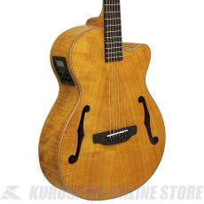 Aria Pro II FET-F2 STBR Elecord エレクトリック・アコースティックギター【ONLINE STORE】_3