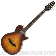アリアプロ2 アコースティックギター Aria Pro II(アリアプロツー)、アコースティックギター/エレアコ