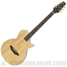 Aria Pro II APE-100 N APE エレクトリック・アコースティックギター【ONLINE STORE】