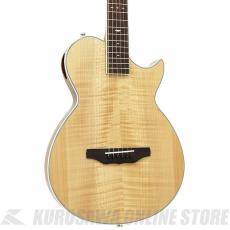Aria Pro II APE-100 N APE エレクトリック・アコースティックギター【ONLINE STORE】_3