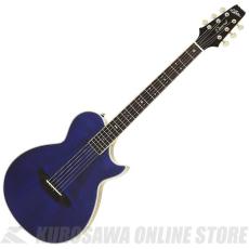 Aria Pro II(アリアプロツー)、アコースティックギター/エレアコ