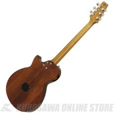 Aria Pro II APE-100 SBL APE エレクトリック・アコースティックギター【ONLINE STORE】_2