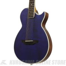 Aria Pro II APE-100 SBL APE エレクトリック・アコースティックギター【ONLINE STORE】_3