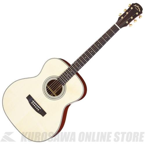 ARIA AF-501 N [Aria Dreadnought 500 series] アコースティックギター【ONLINE STORE】
