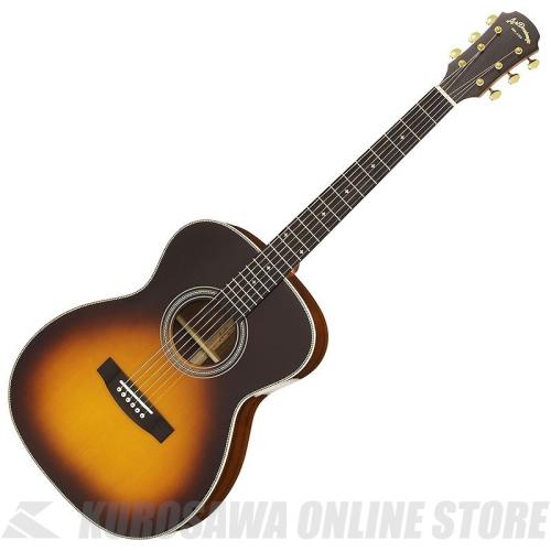 ARIA AF-501 TS [Aria Dreadnought 500 series] アコースティックギター【ONLINE STORE】
