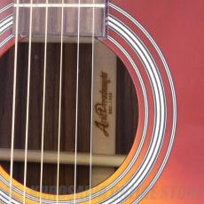 ARIA AD-215 TS [Aria Dreadnought 200 series] アコースティックギター【ONLINE STORE】_3