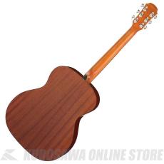 ARIA AF-201 N [Aria Dreadnought 200 series] アコースティックギター【ONLINE STORE】_2