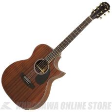 ARIA AF-101MHCE [Aria Dreadnought 100 series] エレアコ【ONLINE STORE】