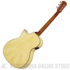 ARIA AF-107CE FWN [Aria Dreadnought 100 series] エレアコ【ONLINE STORE】_2