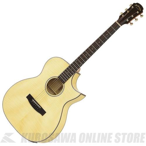 ARIA AF-107CE FWN [Aria Dreadnought 100 series] エレアコ【ONLINE STORE】