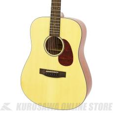 ARIA ARIA-111 MTN [Aria-111 -Dreadnought-] アコースティックギター【ONLINE STORE】_3
