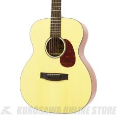 ARIA ARIA-101 MTN [Aria-101 -Auditorium-] アコースティックギター【ONLINE STORE】_3