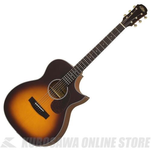 ARIA ARIA-101CE MTTS [Aria-101 -Auditorium-] エレアコ【ONLINE STORE】