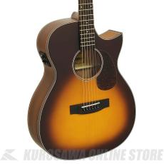 ARIA ARIA-101CE MTTS [Aria-101 -Auditorium-] エレアコ【ONLINE STORE】_3