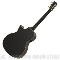 ARIA ARIA-101CE MTBK [Aria-101 -Auditorium-] エレアコ (ご予約受付中)【ONLINE STORE】_2