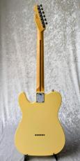 Fender USA American Performer Telecaster Hum_3