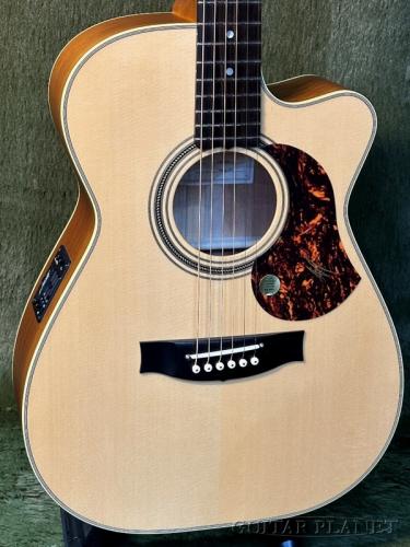 Maton EBG808C Tommy Emmanuel #34040【48回迄金利0%対象】【送料当社負担】
