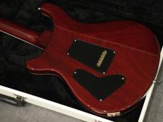 Paul Reed Smith [PRS] 25th Anniversary Custom24 10top Fire Red Burst 2010_9