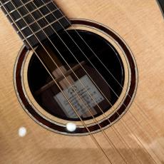 K.Yairi Solo Works RS Custom_10