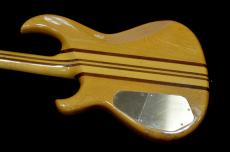 Aria Pro II SB-900N_4