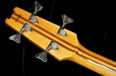 Aria Pro II SB-900N_6