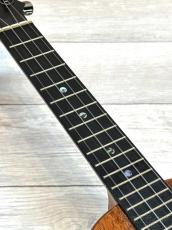 KoAloha KCM-10RP Royal Pikake 【2022年製】【コンサート/ハワイアンコア】【送料込】_7