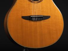 YAMAHA NTX1200R ~Natural~_6