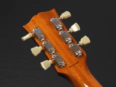Tokai  LS156S-WA GT ~Gold Top~_9