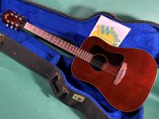 Guild D-25M