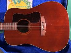 Guild D-25M_2
