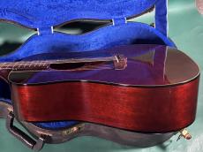 Guild D-25M_4