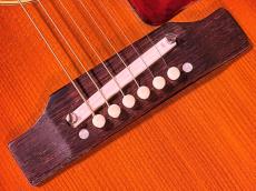 Gibson B-25 TSB_10