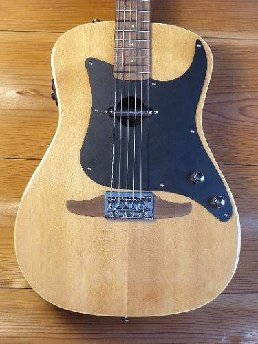 Fender Fender Acoustic / Malibu Player