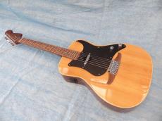 Fender Fender Acoustic / Malibu Player_2