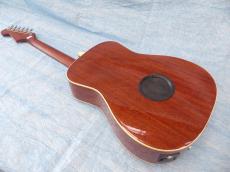 Fender Fender Acoustic / Malibu Player_3