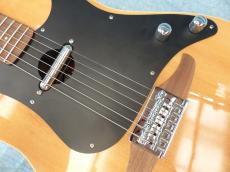 Fender Fender Acoustic / Malibu Player_4