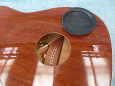 Fender Fender Acoustic / Malibu Player_5