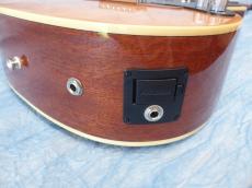 Fender Fender Acoustic / Malibu Player_6