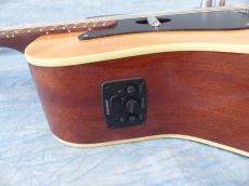Fender Fender Acoustic / Malibu Player_7