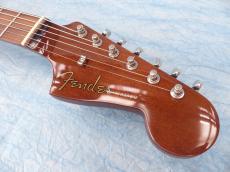 Fender Fender Acoustic / Malibu Player_8