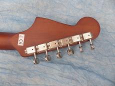 Fender Fender Acoustic / Malibu Player_9