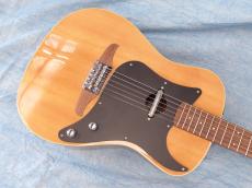 Fender Fender Acoustic / Malibu Player_10
