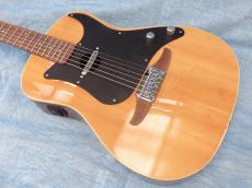 Fender Fender Acoustic / Malibu Player_11