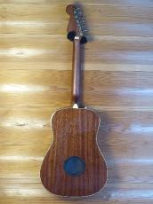 Fender Fender Acoustic / Malibu Player_13
