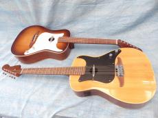 Fender Fender Acoustic / Malibu Player_14